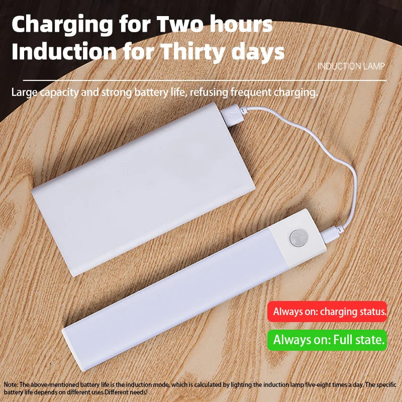 USB Motion Sensor LED Night Light